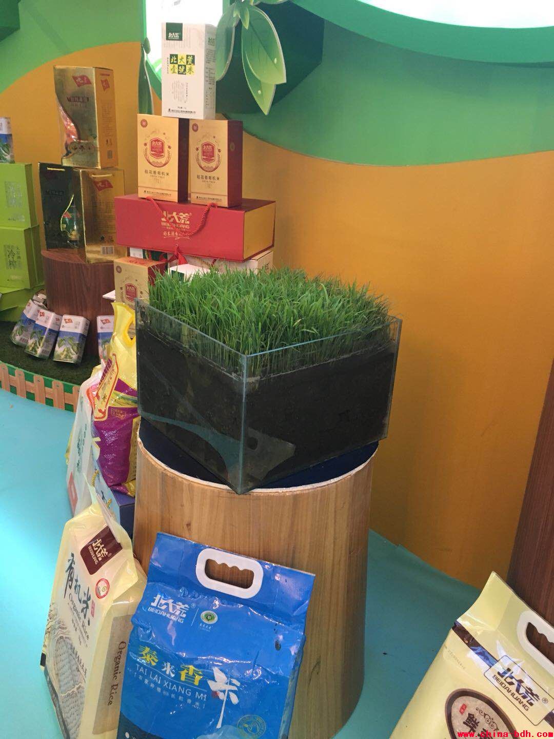 點(diǎn)擊瀏覽下一頁